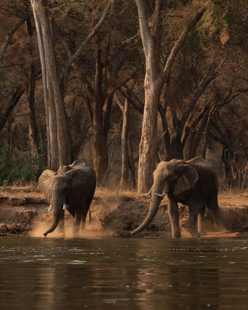 Lower Zambezi
